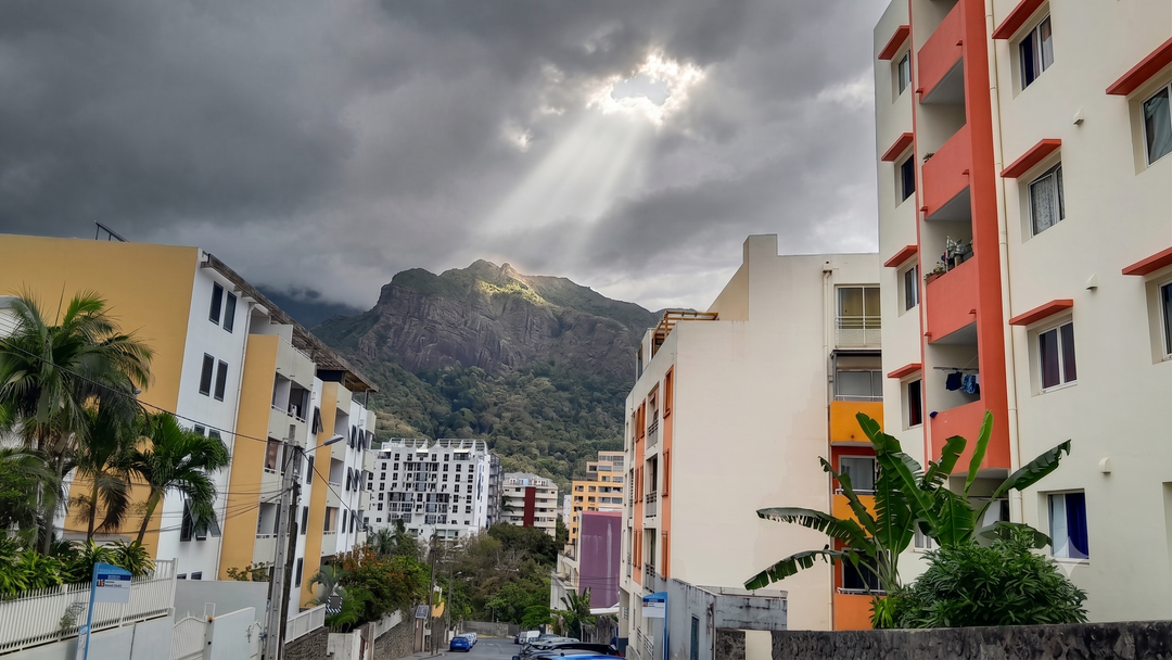 T2 Jacaranda - St Denis